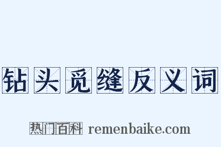 钻头觅缝反义词是什么意思的图片